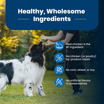 Blue Buffalo Life Protection Formula Dry Dog Food - Chicken