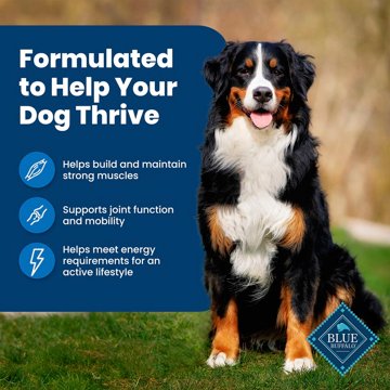 Blue Buffalo Life Protection Formula Dry Dog Food - Chicken