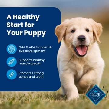 Blue Buffalo Life Protection Formula Chicken & Brown Rice Recipe Dry Puppy Dog Food, 5 lb