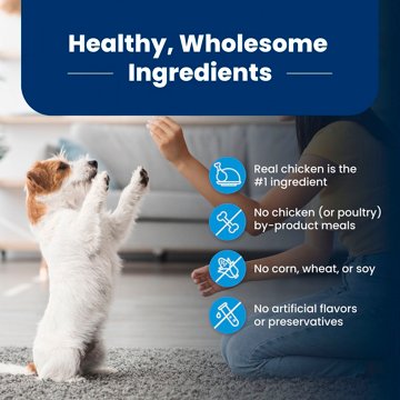 Blue Buffalo Life Protection Formula Chicken & Brown Rice Recipe Dry Puppy Dog Food, 5 lb