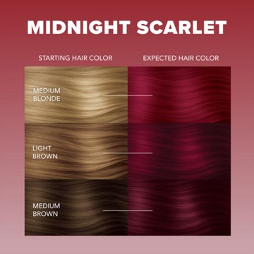 Splat Rebellious Colors Long Lasting Hair Color - Midnight Scarlet