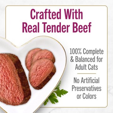 Fancy Feast Purina Petites Gourmet Wet Cat Food -  Tender Beef Entree With Carrots in Gravy