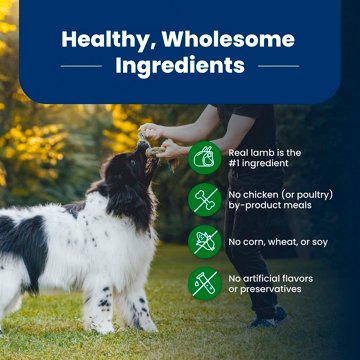 Blue Buffalo Life Protection Formula Dry Dog Food - Lamb