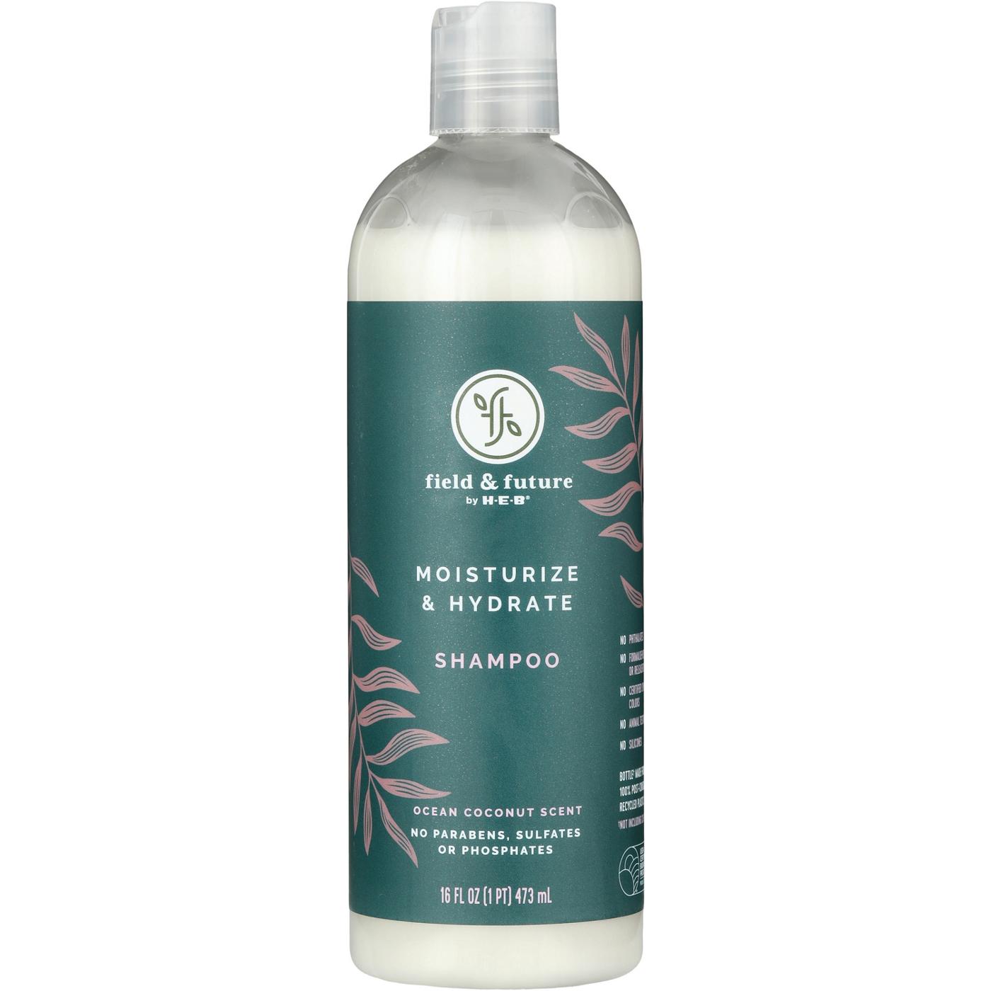 Field & Future by H-E-B Moisturize & Hydrate Shampoo - Ocean Coconut; image 1 of 3