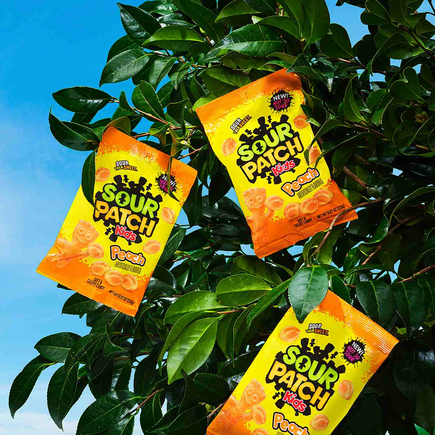 Sour Patch Kids Peach Soft & Chewy Candy; image 9 of 9