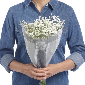 BLOOMS by H-E-B Baby's Breath Gypsophila, 1 bundle