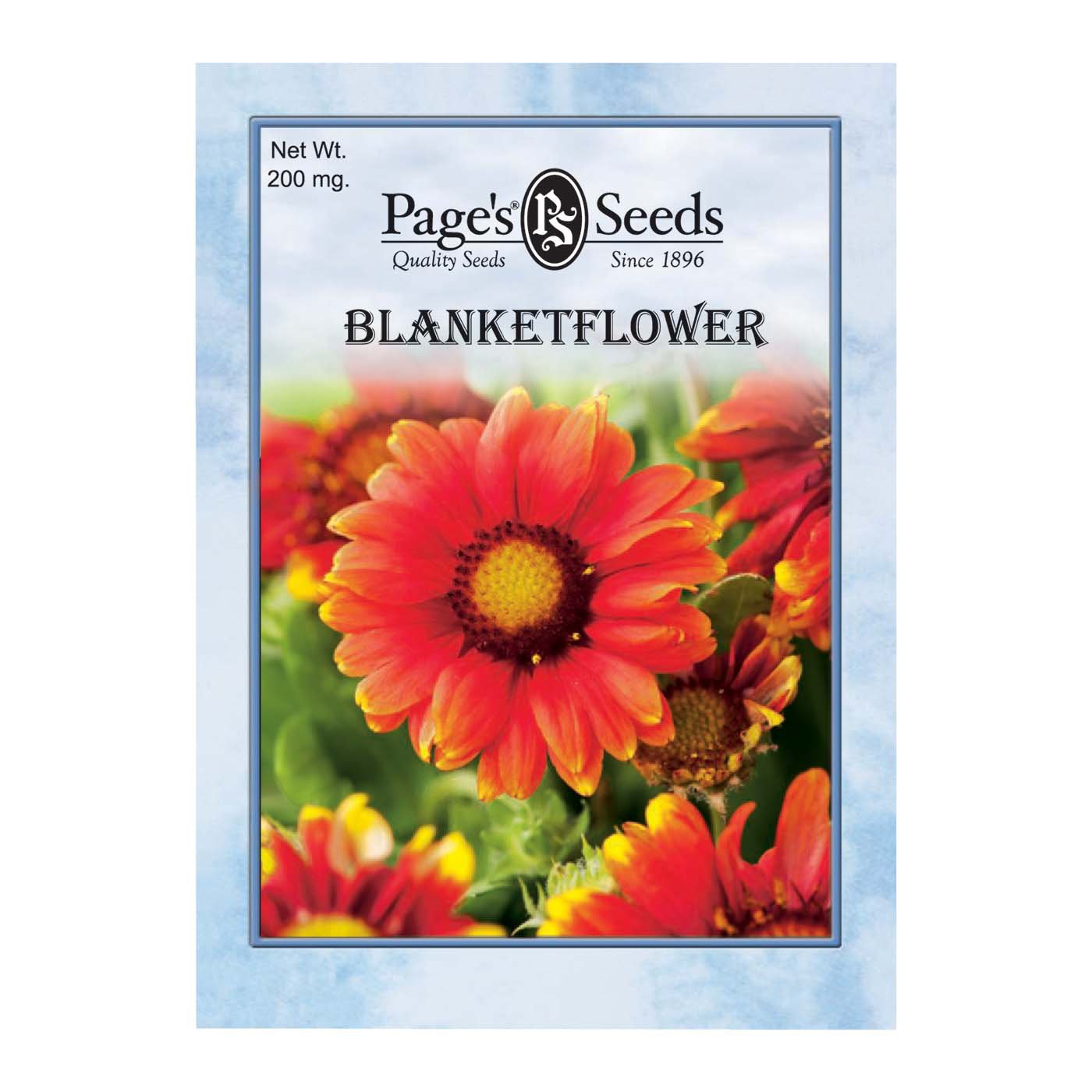 Page's Seeds Blanket Flower Seed Packet Shop Patio & Outdoor at HEB