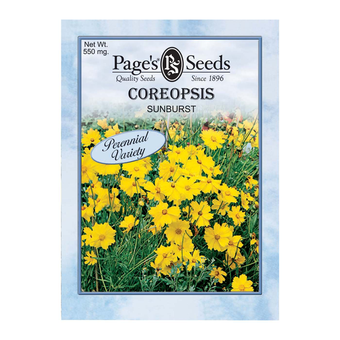 Page's Seeds Sunburst Coreopsis Flower Seed Packet Shop Seeds at HEB