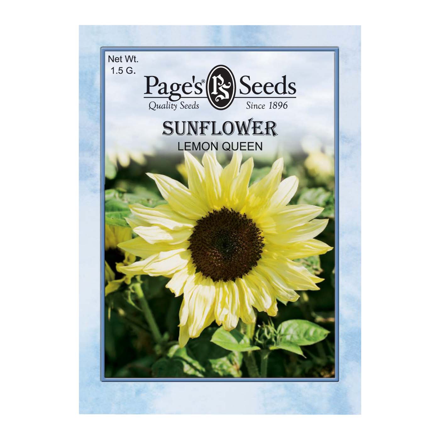 Page's Seeds Lemon Queen Sunflower Seed Packet - Shop Seeds At H-e-b