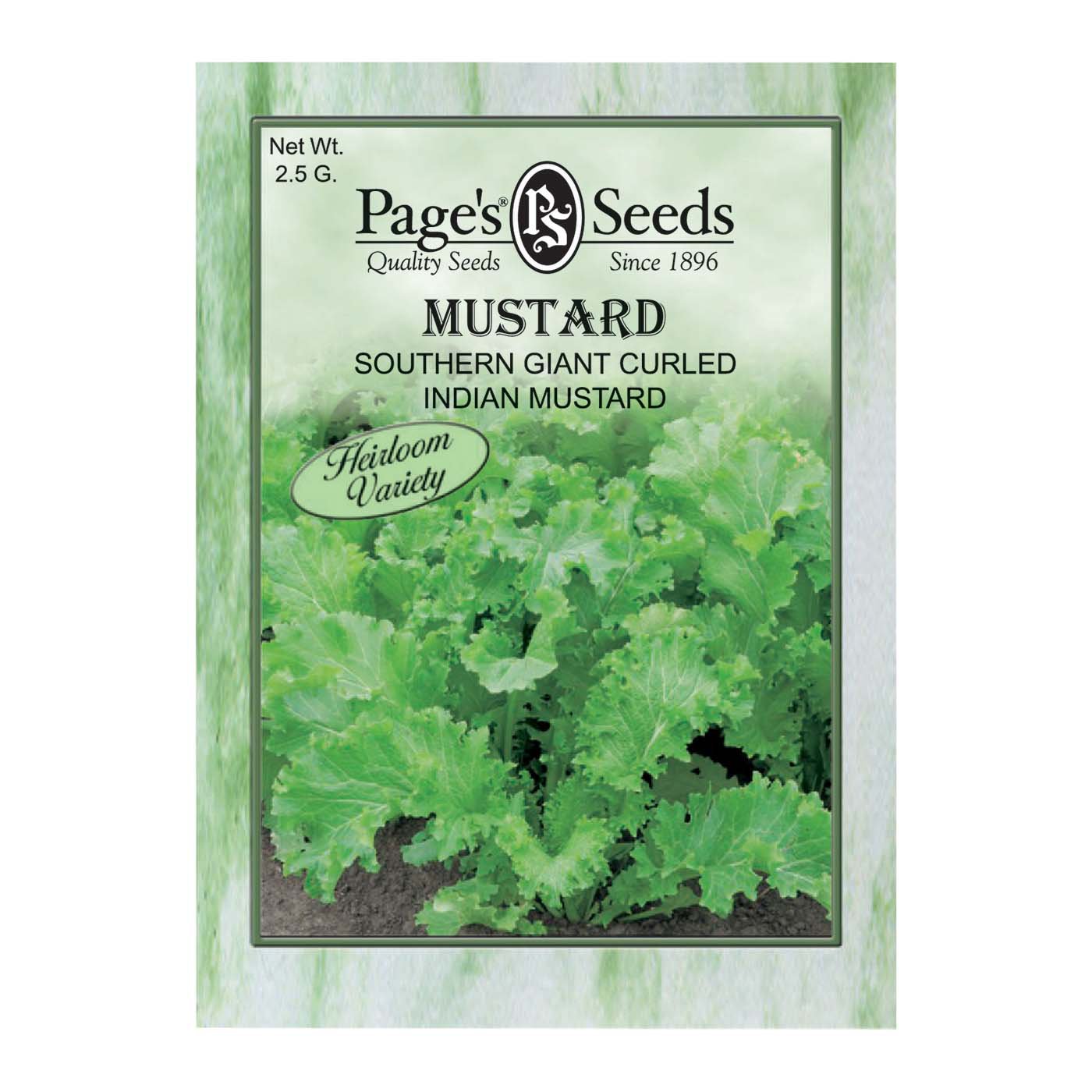 Page's Seeds Southern Giant Curled Mustard Green Seed Packet Shop Seeds at HEB