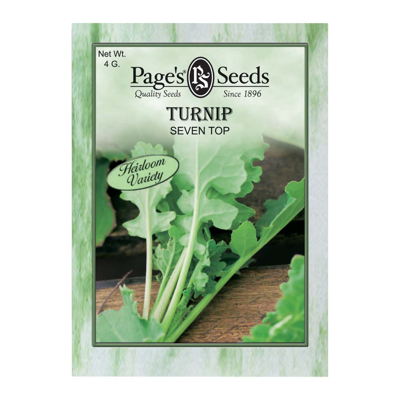 Page's Seeds Seven Top Turnip Seed Packet Shop Seeds at HEB