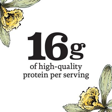 Siggi's 0% Non-Fat Strained Skyr Yogurt - Vanilla