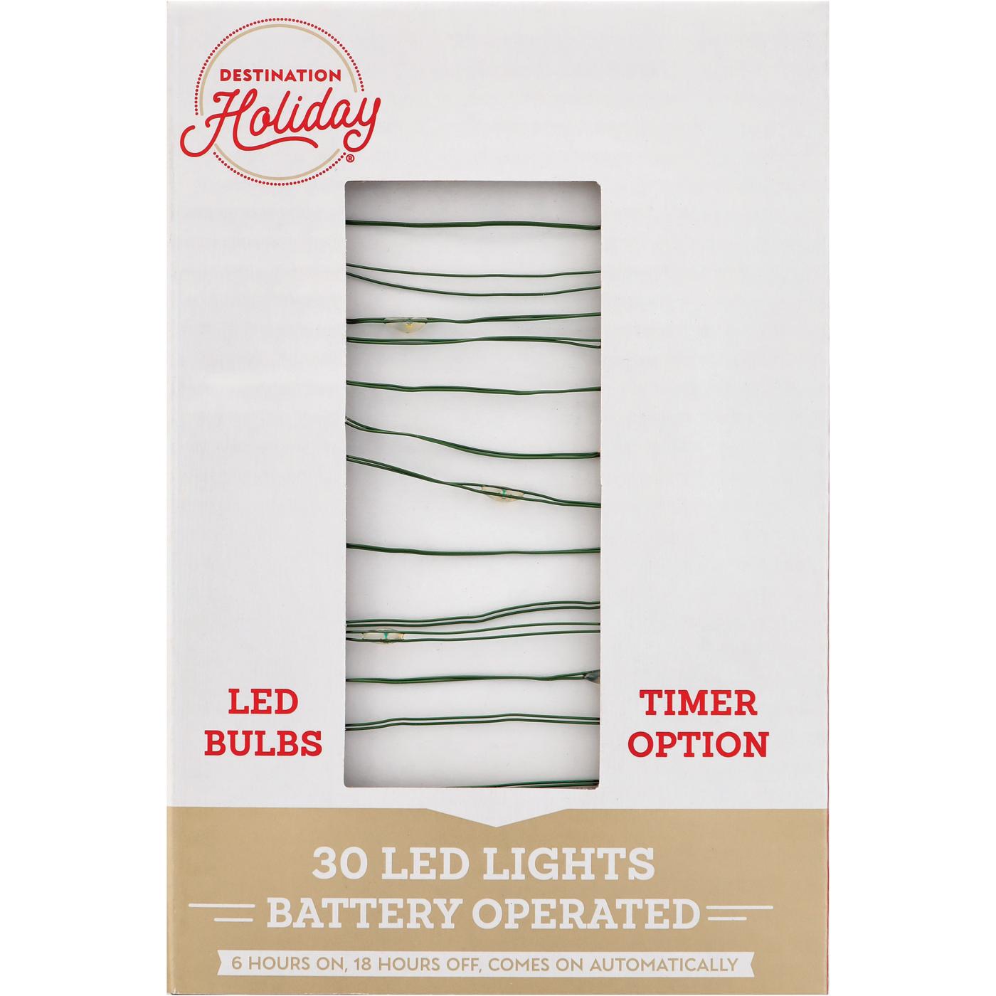 Destination Holiday Mini LED Christmas Lights with Timer Shop Seasonal decor at HEB