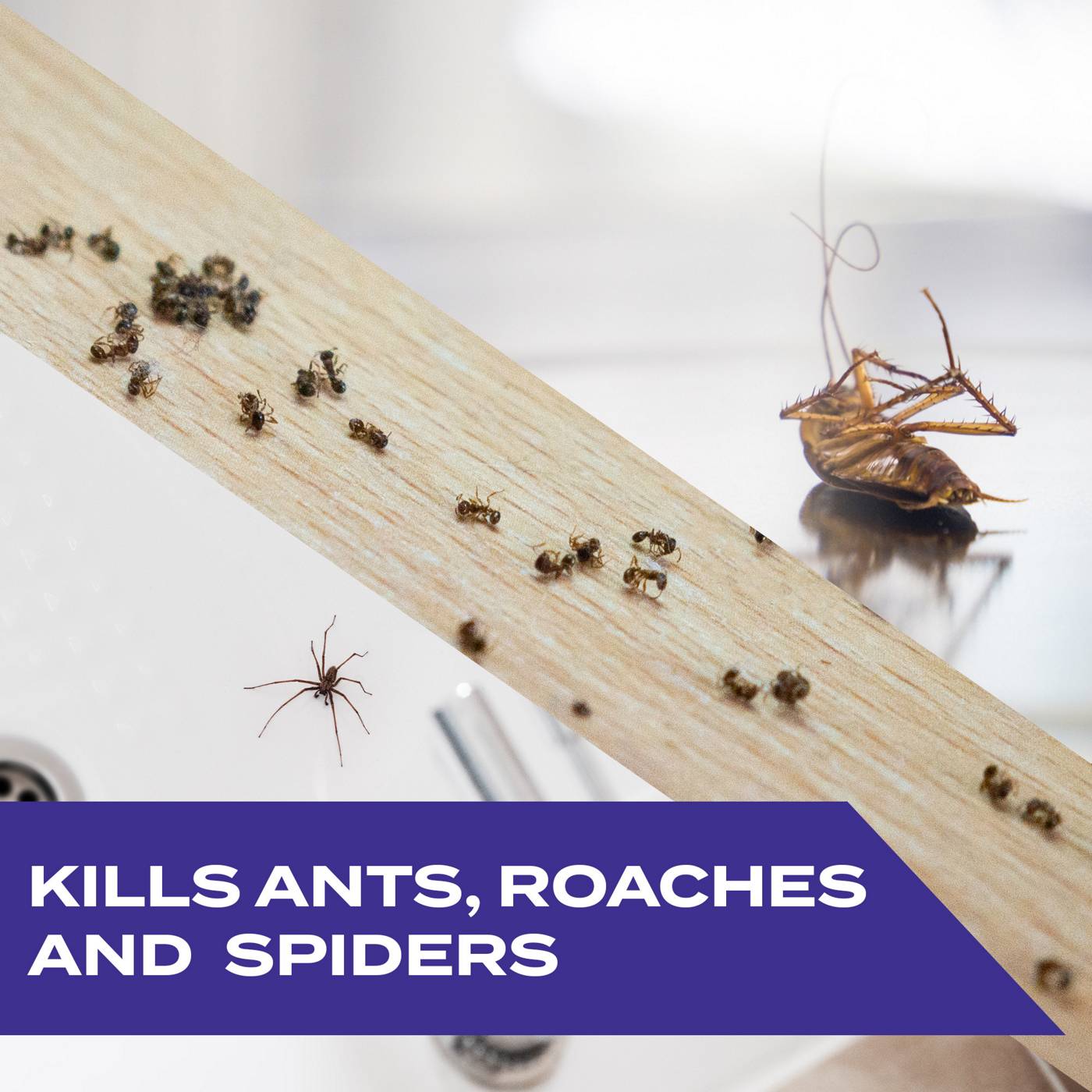 STEM Ants Roaches & Spiders Killer Spray; image 2 of 8
