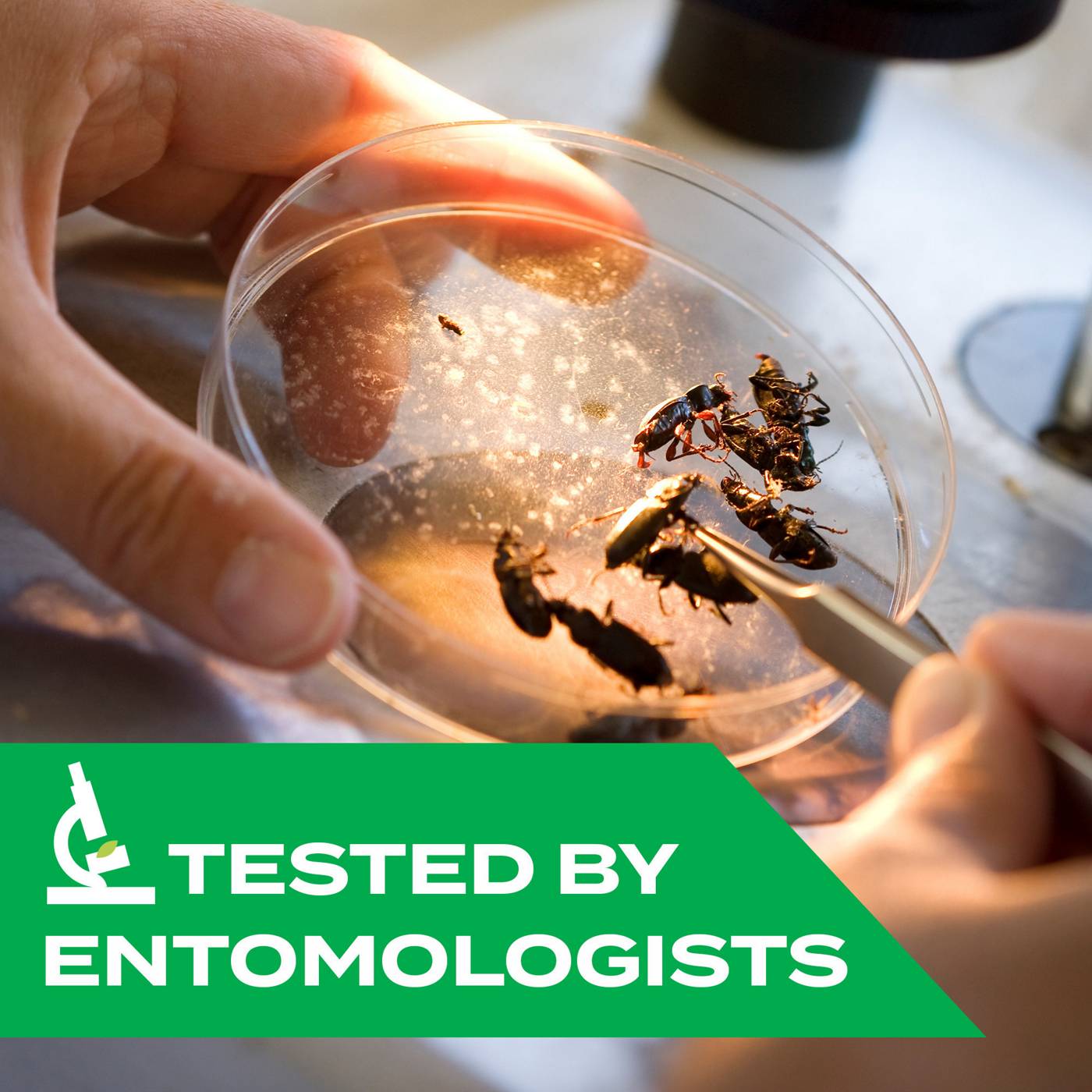 STEM Bug Killer Spray, Kills Flies, Mosquitoes, Gnats; image 4 of 10