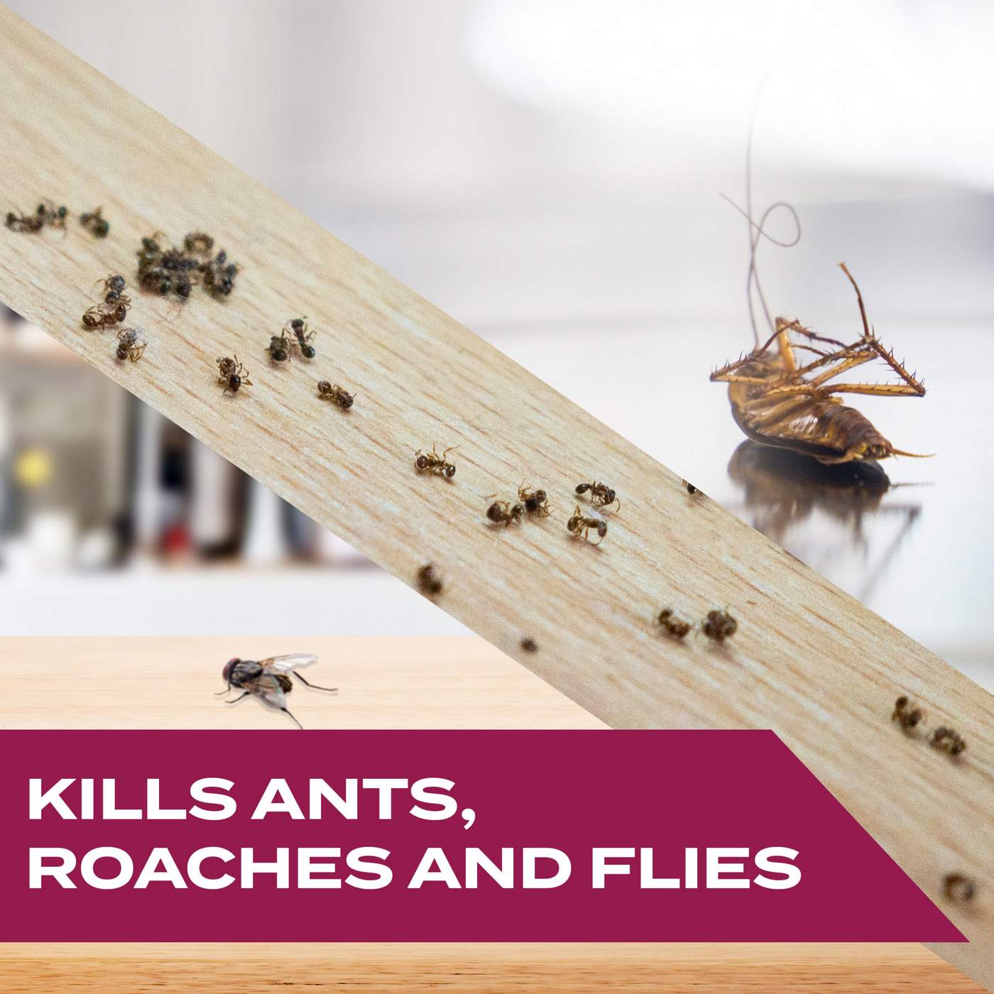 STEM Kills Ants Roaches & Flies Spray; image 4 of 7