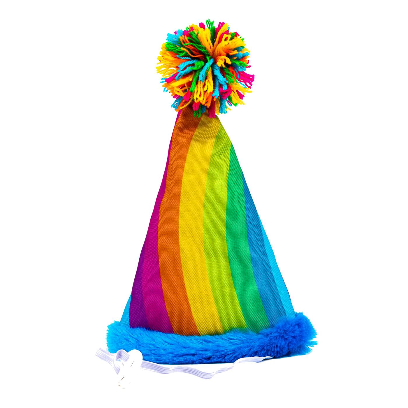 Woof & Whiskers WW BDAY PARTY HAT RAINBOW S2 22; image 1 of 5