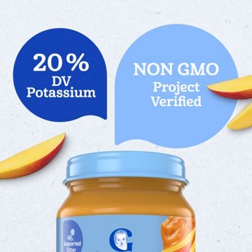 Gerber Natural for Baby 1st Foods - Mango