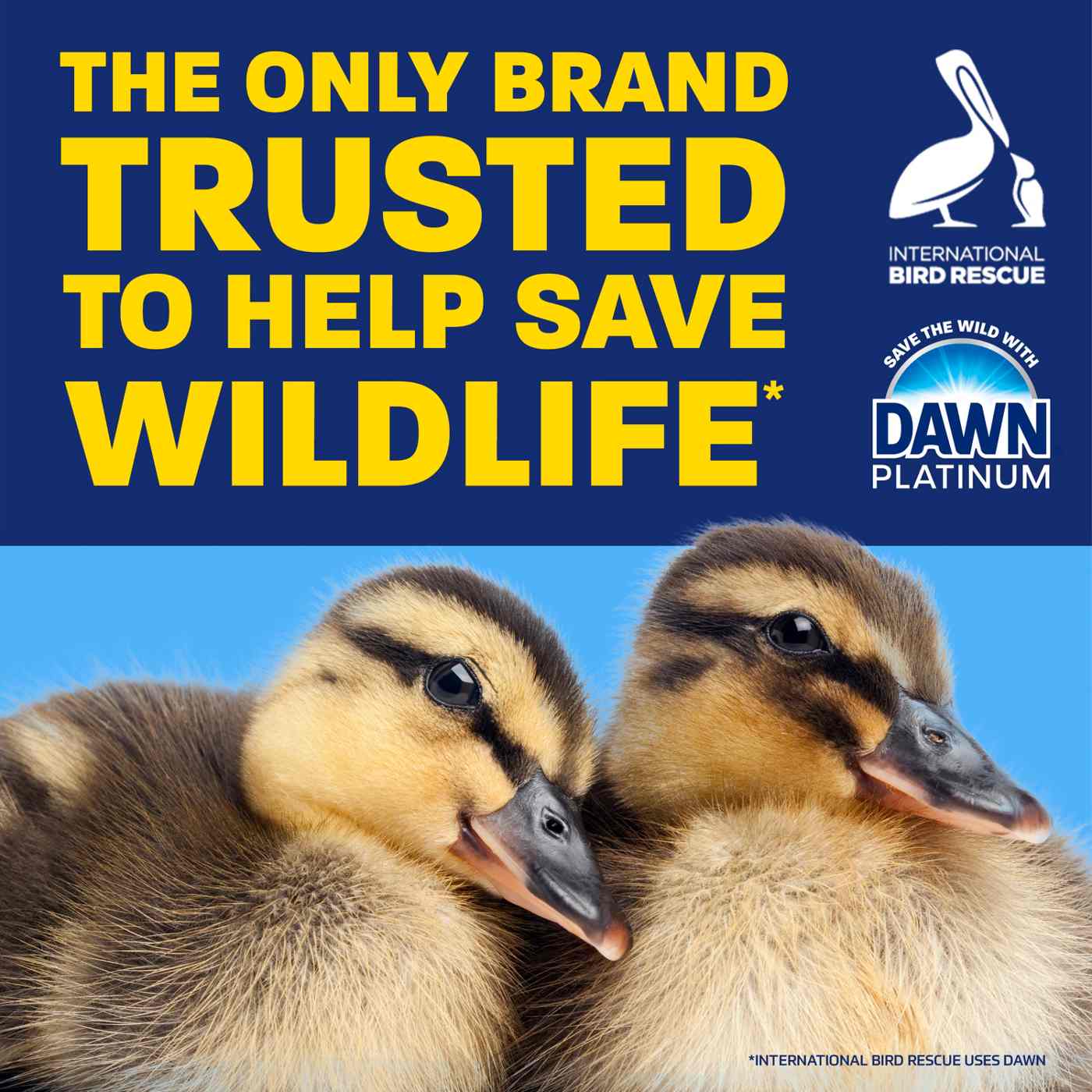 Dawn Ultra Platinum Liquid Dish Soap - Refreshing Rain Scent ; image 4 of 7