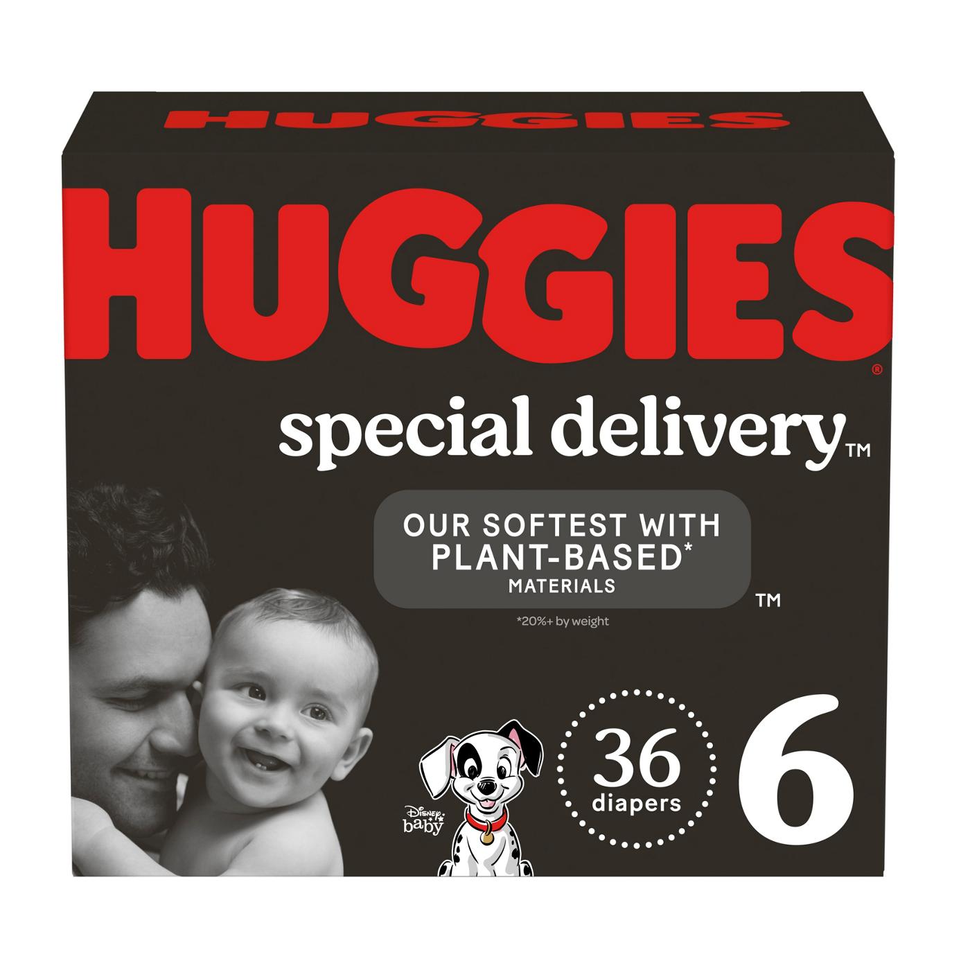 Huggies Special Delivery Hypoallergenic and Fragrance Free Baby Diapers - Size 6; image 1 of 9