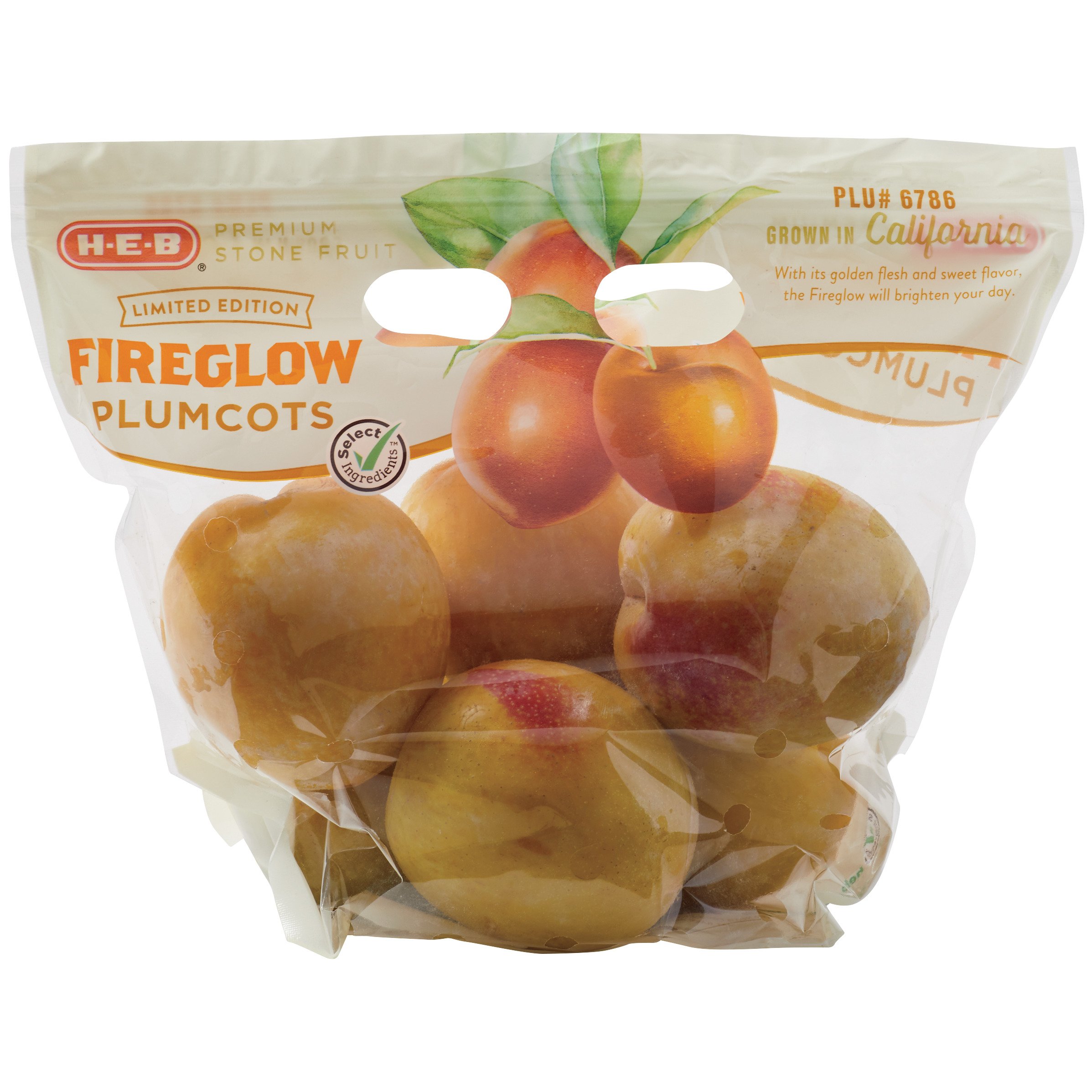HEB Fresh Premium Fireglow Plumcots Shop Peaches, Plums & Apricots