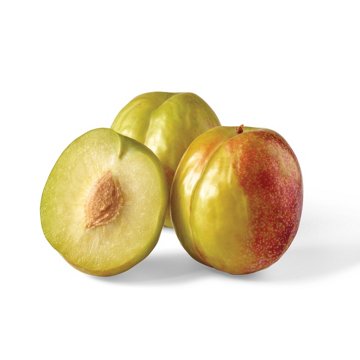 H-E-B Fresh Premium Flavor Grenade Plumcots, Avg. 2.0 lbs