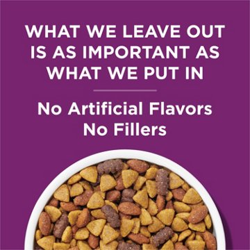 Dog Chow Purina Complete Adult Dry Dog Food Kibble - Lamb Flavor