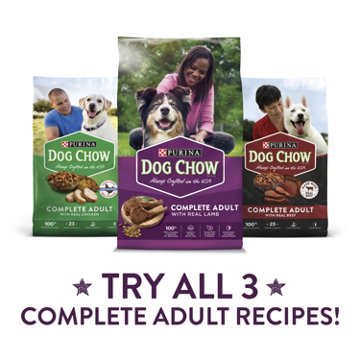 Dog Chow Purina Complete Adult Dry Dog Food Kibble - Lamb Flavor