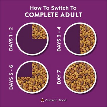 Dog Chow Purina Complete Adult Dry Dog Food Kibble - Lamb Flavor