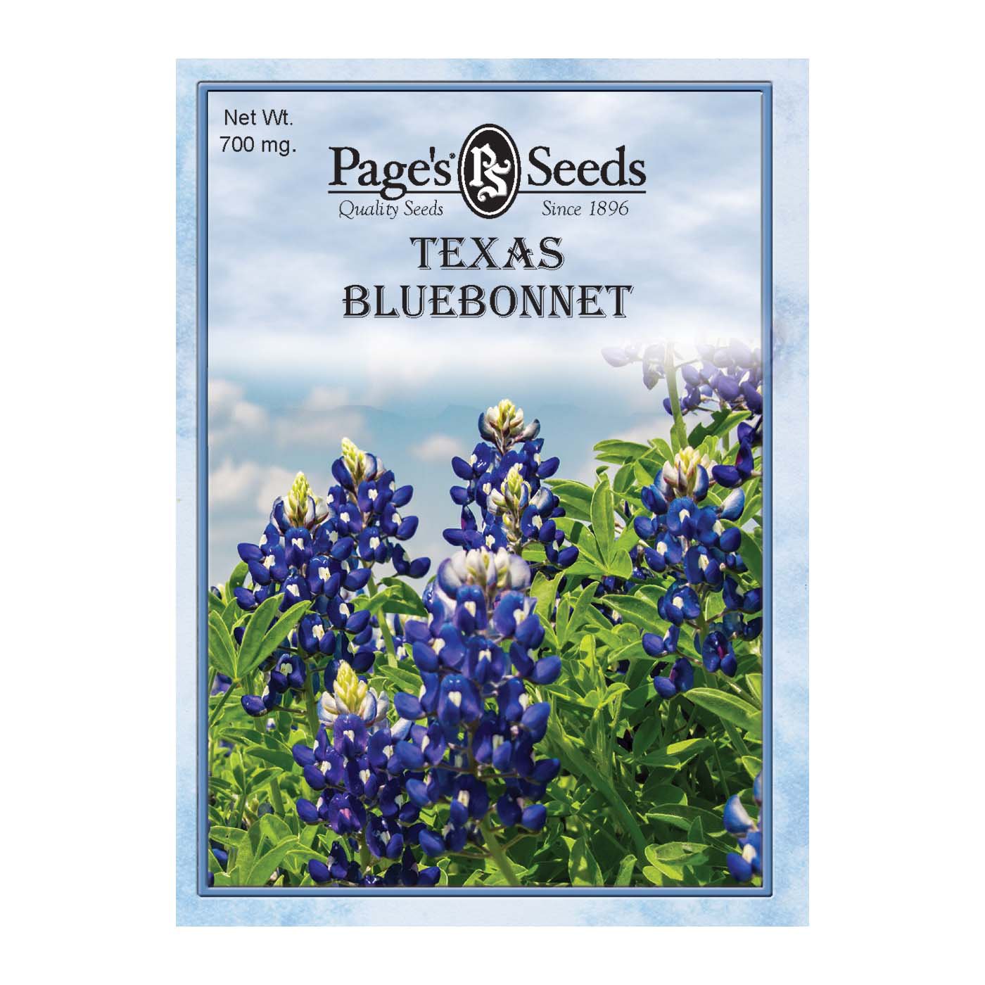 Native Wildflower Seeds For Garden Texas Bluebonnet Wildflower Seeds  Bulk  1/2 Ounce Pack (500+ Seeds)  Texas State Flower, Native Perennial,  Attracts Pollinators, Easy Grow