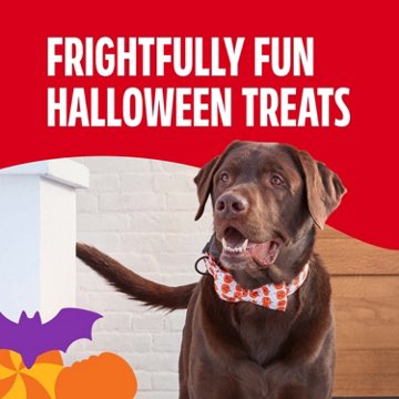 Milk Bone Spooky Biscuits Halloween Dog Treats Pail, 24 oz