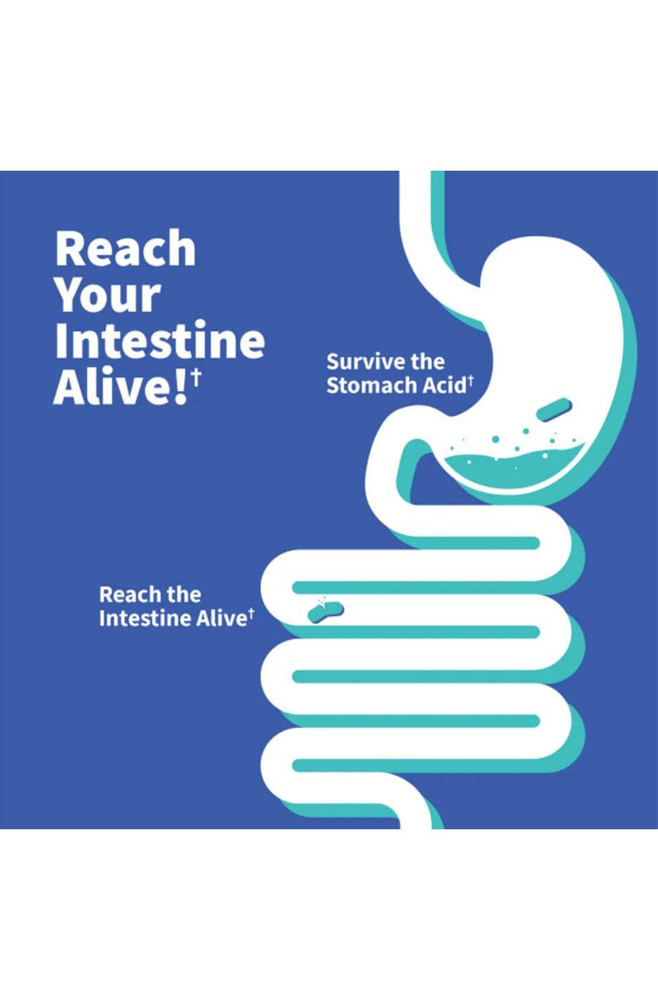 Garden of Life Dr. Formulated Probiotics Gas and Bloating 50 Billion