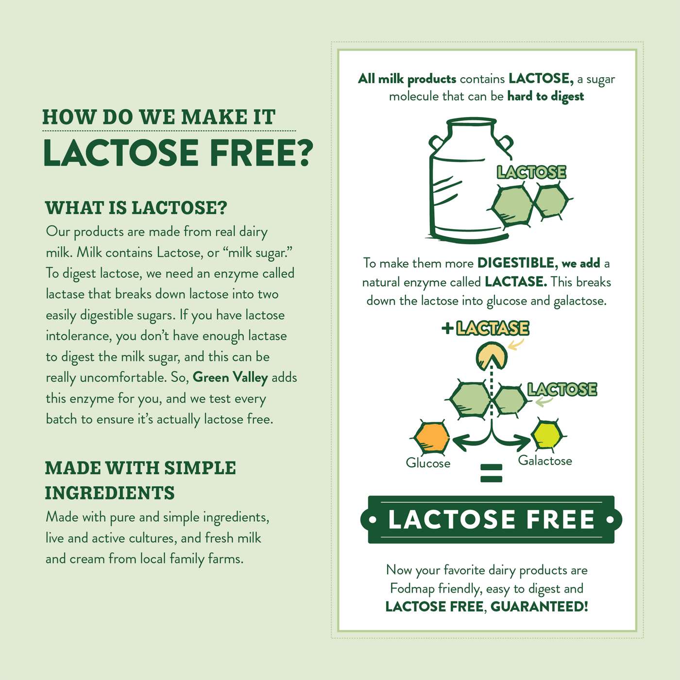Green Valley Lactose Free Sour Cream; image 3 of 4