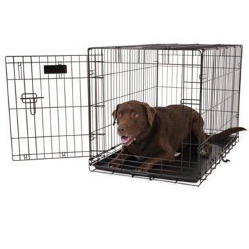 Precision Pet Products ProValu 1 Door Wire Crate, 36"