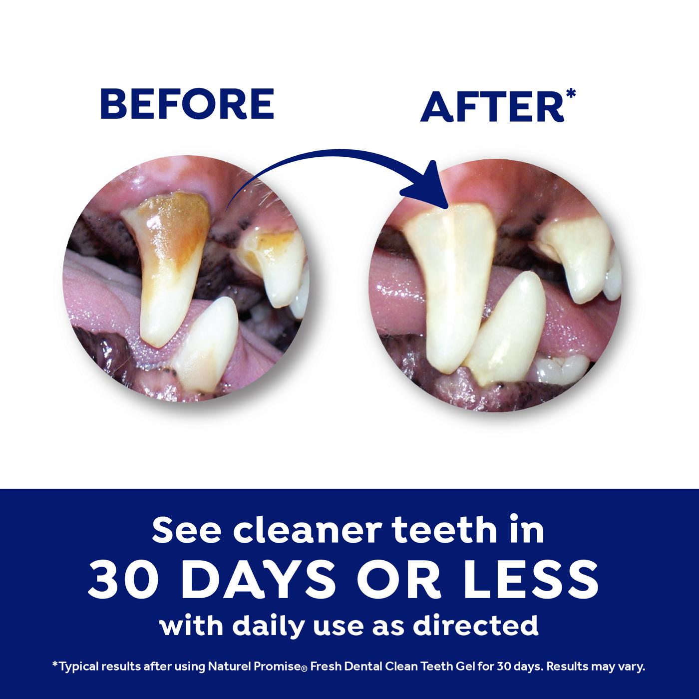 Naturel Promise Fresh Dental Clean Teeth Gel for Dogs; image 4 of 8