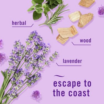 Febreze Plug Twilight Lavender Scented Oil Refills