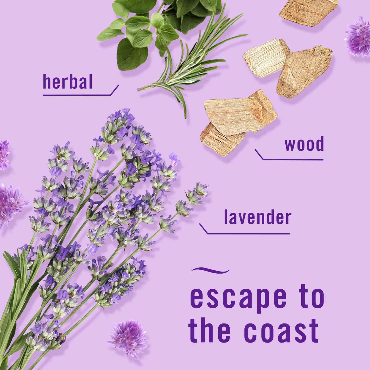 FEBREZE Plug Mediterranean Lavender Scented Oil Refills; image 5 of 7