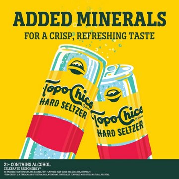 Topo Chico Strawberry Guava Hard Seltzer 12 pk Cans, 12 oz