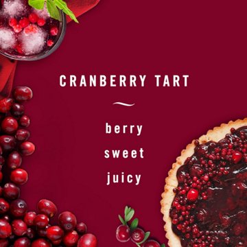 Febreze Car Cranberry Tart Odor-Eliminating Vent Clips