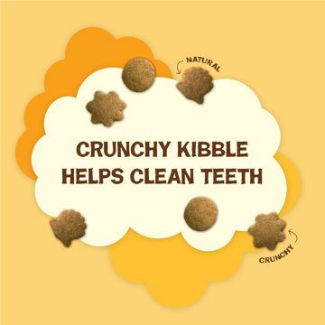 Friskies Purina Natural Cat Treats Party Mix Natural Yums - Real Chicken