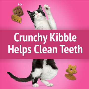 Friskies Purina Cat Treats Party Mix - California Crunch With Chicken