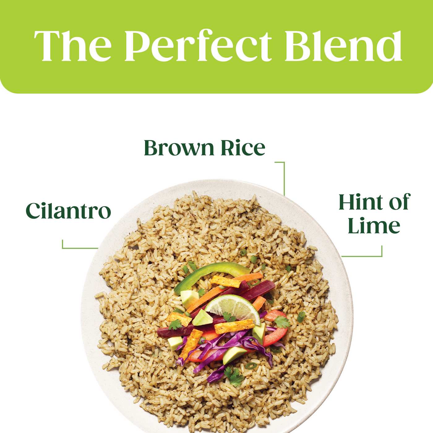 Seeds of Change Organic Brown Jasmine Rice with Cilantro Lime; image 3 of 9