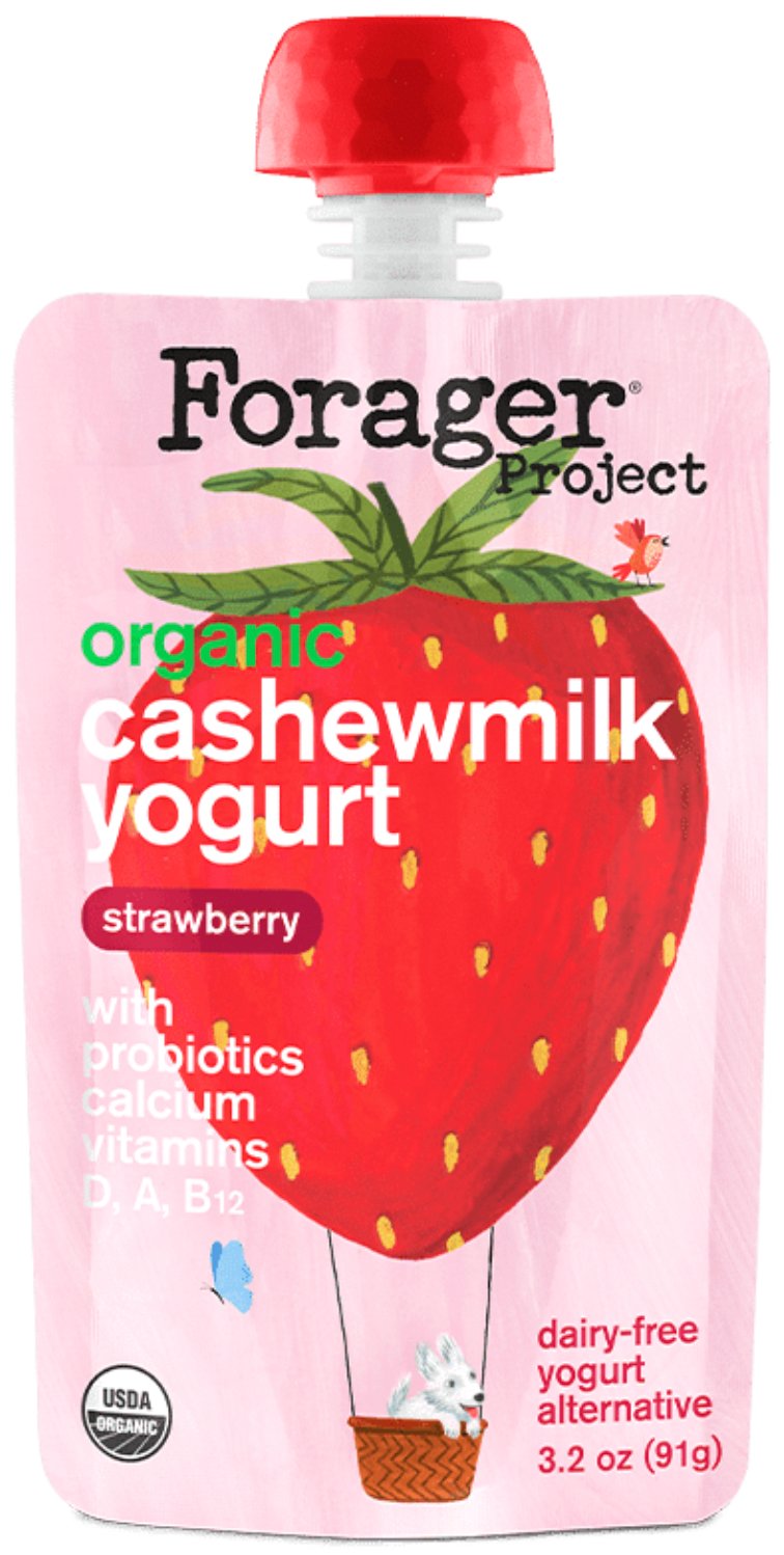 Forager Project Organic Kids Strawberry Cashewmilk Yogurt Shop at HEB
