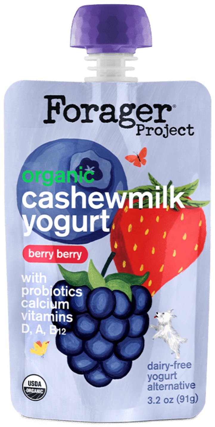 Forager Project Organic Kids Berry Berry Cashewmilk Yogurt Shop at HEB