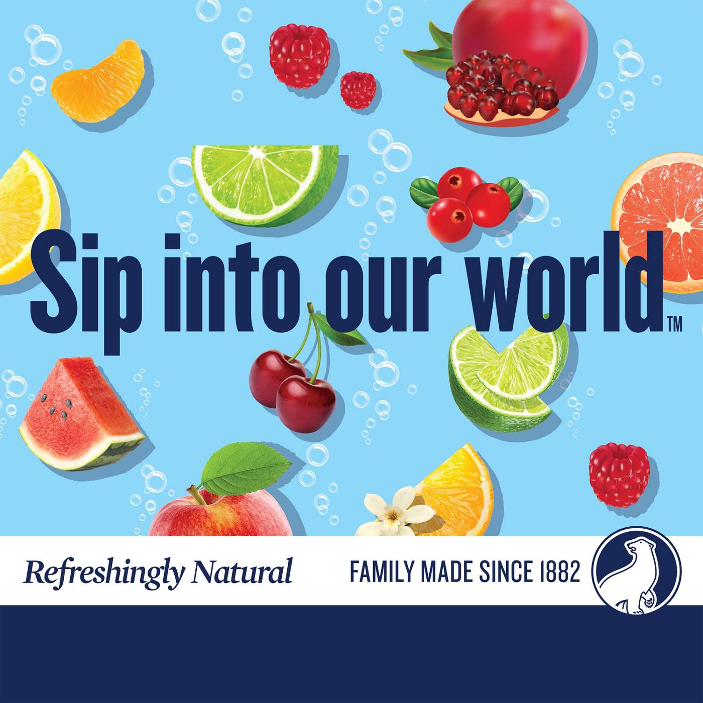 Polar Seltzer Water Cranberry Lime 8 pk Cans; image 4 of 5