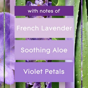 Glade Automatic Spray Refill, Air Freshener, Tranquil Lavender & Aloe, 6.2 oz, 6.2 oz