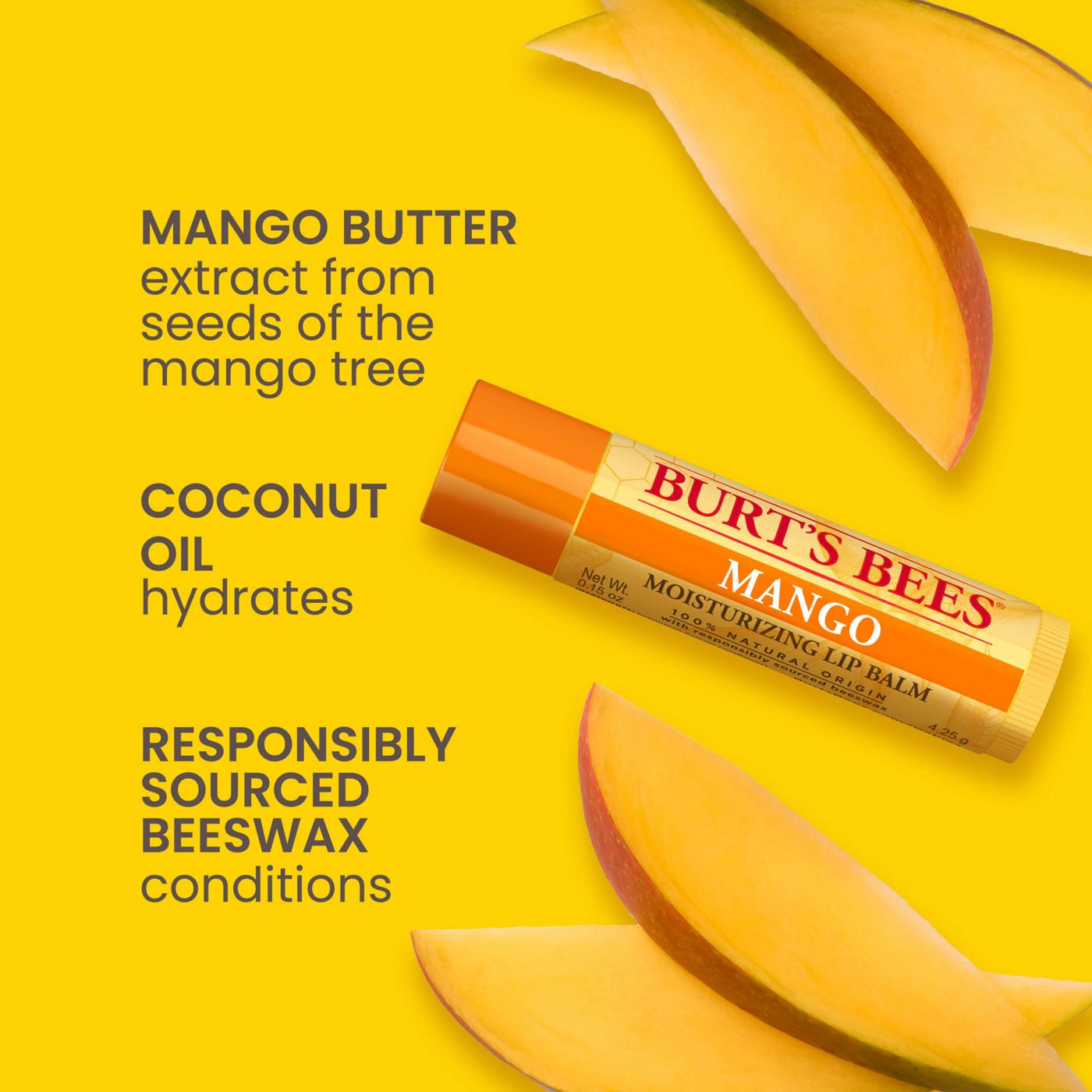 Burt's Bees Moisturizing Lip Balms Super Fruit ; image 13 of 15