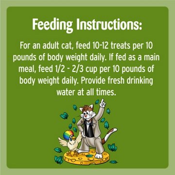 Temptations MixUps Catnip Fever Flavor Crunchy and Soft Cat Treats