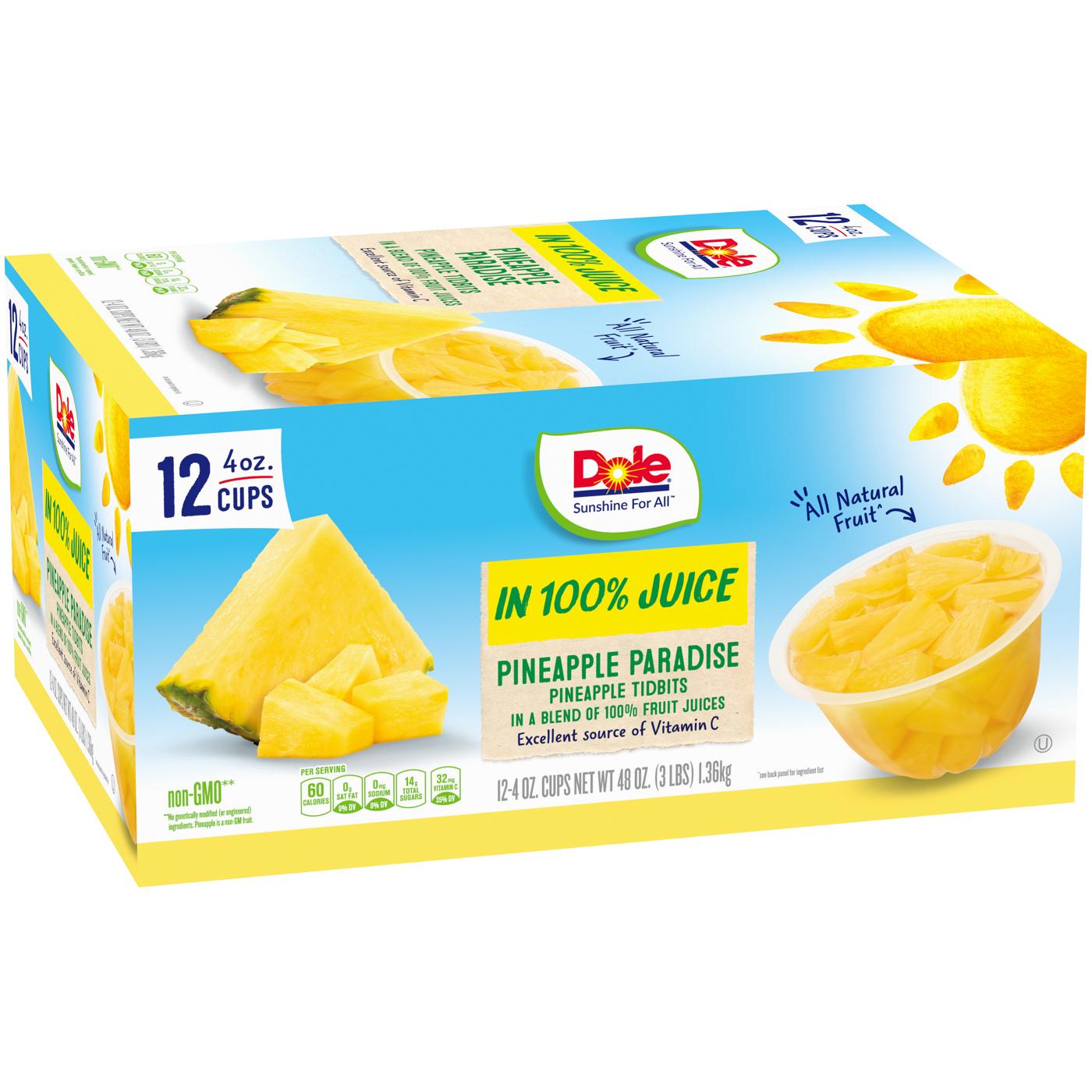 Dole Fruit Bowls - Pineapple Paradise Pineapple Tidbits in 100% Juice; image 2 of 7