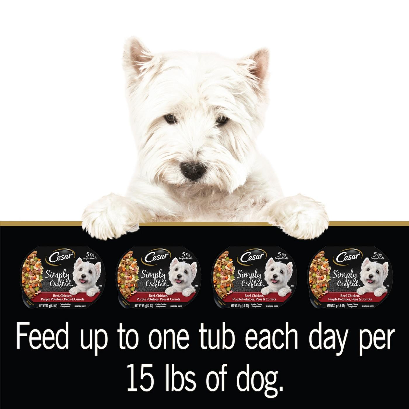 Cesar Simply Crafted Beef & Chicken Wet Dog Food; image 2 of 5